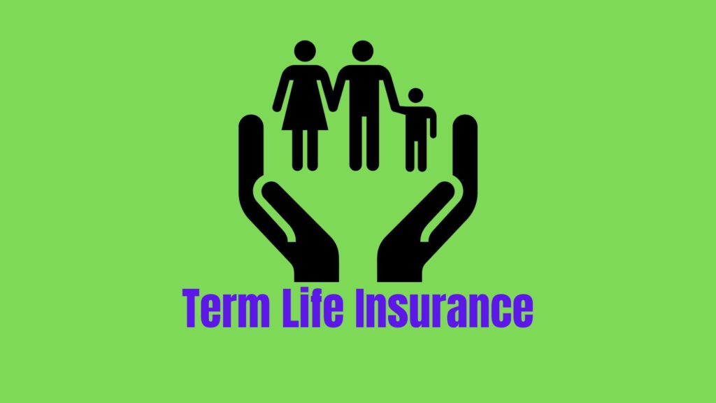 Term Life Insurance